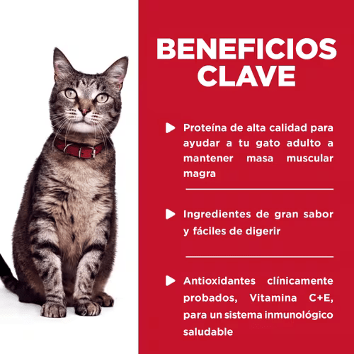 Alimento Húmedo Hills Pouch para Gato Senior 7+ Sabor Pollo - 12 Pack Alimento Húmedo Hills Pouch para Gato Senior 7+ Sabor Pollo - 12 Pack